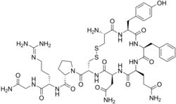 Image illustrative de l’article Vasopressine