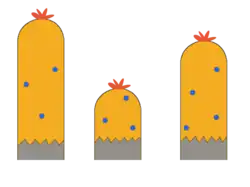 Calque de la végétation - milieu.