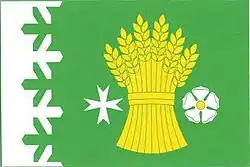 Drapeau de Velké Chvojno