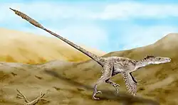 Vue de profil d'un dinosaure bipède recouvert de plumes, avec des petites ailes, des doigts griffus, et une longue queue.