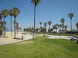 Promenade dans le quartier de Venice Beach (Los Angeles).
