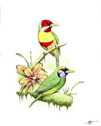 Description de cette image, également commentée ci-après