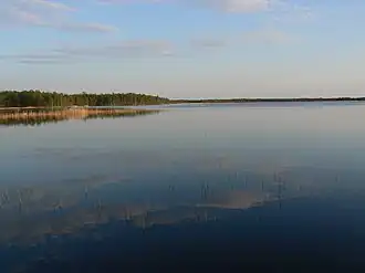 Image illustrative de l’article Lac Nõva Veski