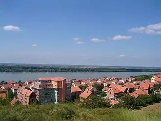 Višnjica (Palilula)