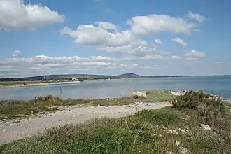 Image illustrative de l’article Étang de Vic