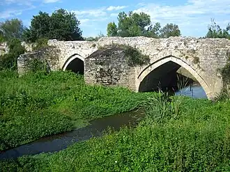 Photographie du pont, sur le Thouet, très encombré de végétation.