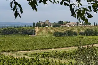 Vue du vignoble et du domaine voisin depuis La Nerthe