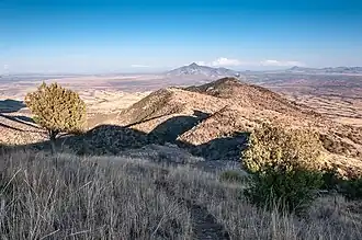 Vue depuis le Coronado Peak Trail, qui atteint le sommet du pic Coronado.