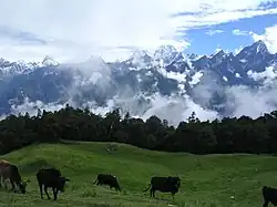 Alpages à Auli. La transhumance régit encore la vie des éleveurs des vallées les plus isolées.
