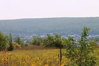 Mount Carmel (Pennsylvanie)