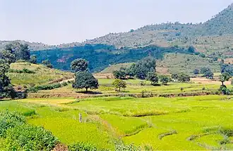 La Vallée d'Araku, située au nord-est de l'État dans les Ghats orientaux, est connue pour son climat frais et pour ses plantations de café.