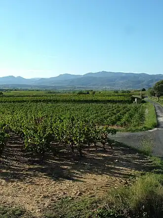 Image illustrative de l'article Mas de Daumas Gassac