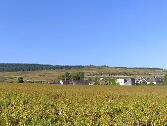 Image illustrative de l’article Pommard (AOC)