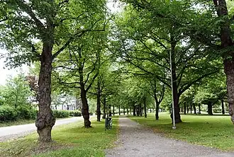 Parc Viinikanpuisto.