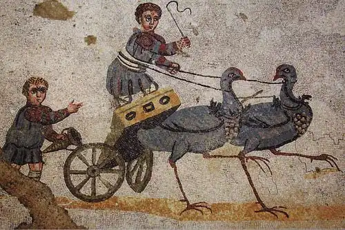 Enfant sur un bige tiré par des échassiers.