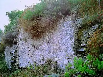 Image illustrative de l’article Villa romaine de Capo Castello