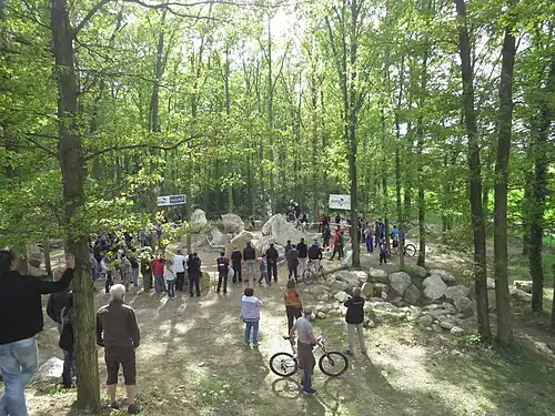 Vincent Hermance lors de la première manche de la Coupe de France à Cerny (2e&nbsp;zone)