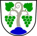 Blason de Vipava