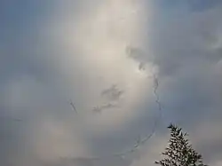 Vol de Grues cendrées survolant le Comminges.