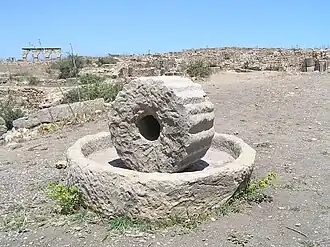 Moulin à trituration avec sa meule dressée - Volubilis