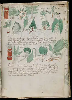 folio 100r.