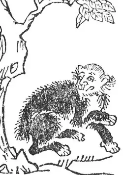 Description de cette image, également commentée ci-après