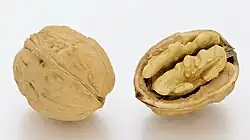 Vue d'une coque fermée et d'une coque ouverte, où l'on distingue les cerneaux. Photo sur fond blanc.