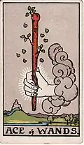 Ace of Wands