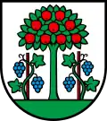 Blason de Magden
