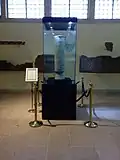 Long vase exposé dans une vitrine. La vitrine est entourée d'une barrière de cordons bleus