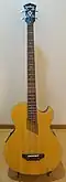 Guitare Washburn AB-10