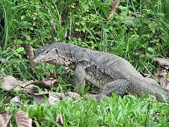 Description de cette image, également commentée ci-après