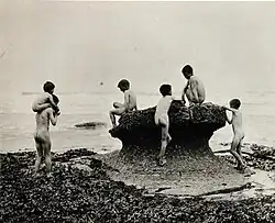 Waterrats, (Sea Urchins), 1886.