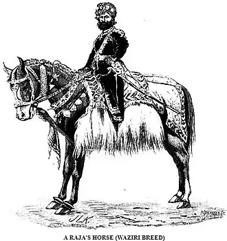 Cheval Waziri d'après John Lockwood Kipling (1891)