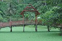 Mare envahie par les plantes aquatiques.