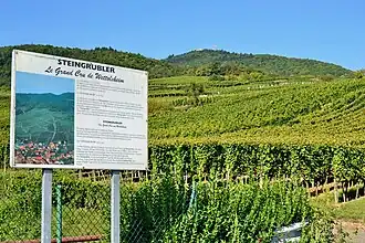 Image illustrative de l’article Steingrubler