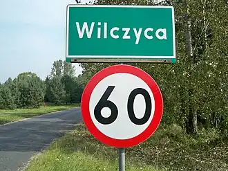 Wilczyca