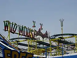 Wild Mouse