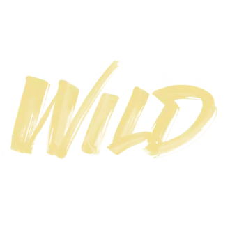 Description de l'image Wild from Troye Sivan.png.