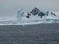 Icebergs dans la baie de Wilhelmine