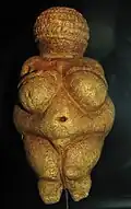 La Vénus de Willendorf semble présenter une macronymphie