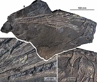 Description de cette image, également commentée ci-après