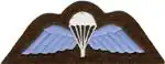 Parachutist Badge.