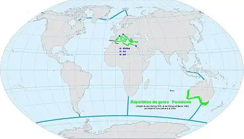 Répartition du genre Posidonia