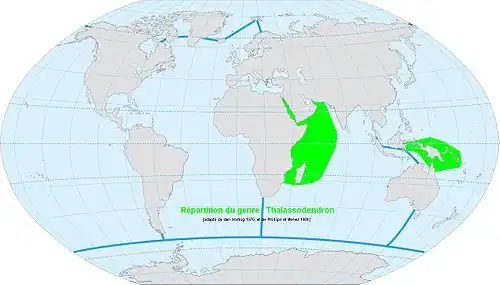 Répartition du genre Thalassodendron