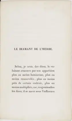 Image illustrative de l’article Le Diamant de l'herbe