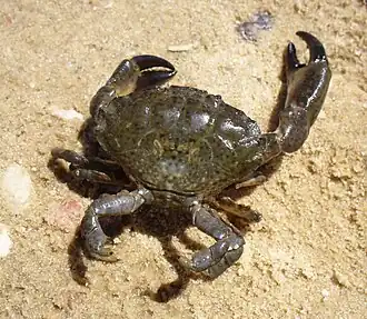 Description de cette image, également commentée ci-après