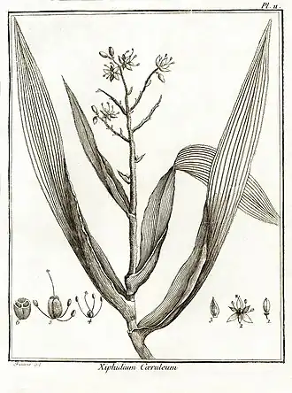 Description de cette image, également commentée ci-après