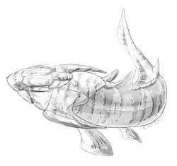 Xiushanosteus is the oldest known placoderm from the early Silurian (Telychian) of China