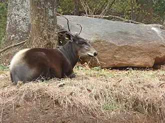 Description de cette image, également commentée ci-après